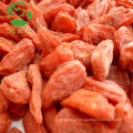 Bagas de Goji secas orgânicas, boas para a pele